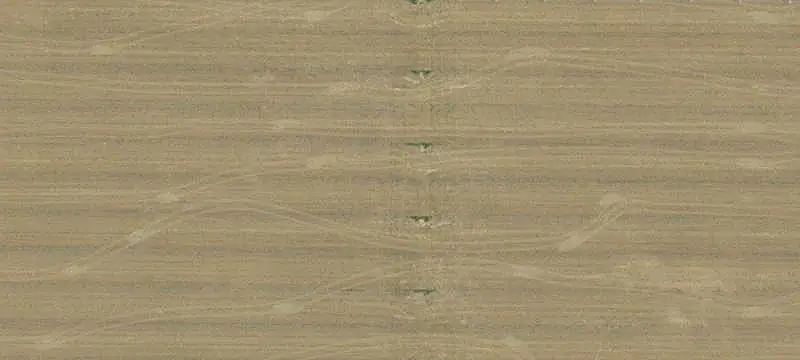 Alfalfa Farm with Irrigation