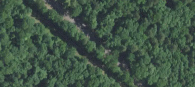 Recreational Hunting Land with Timber
