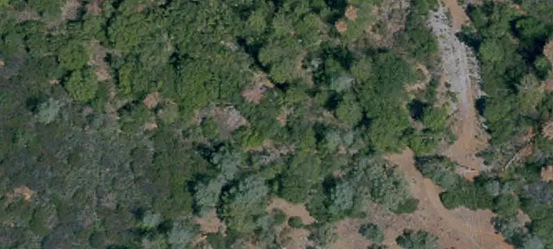 Land