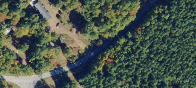 Wooded Land