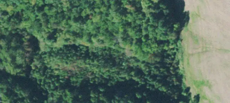 Agricultural Land