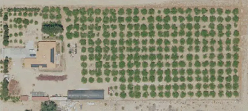 Jujube Farm with Greenhouse