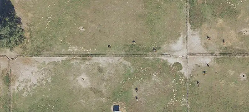 Equestrian Farm with Horse Barn
