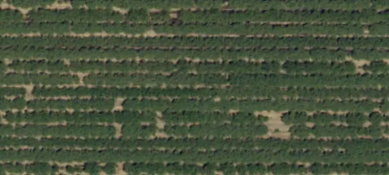 Farm with Residence and Shop