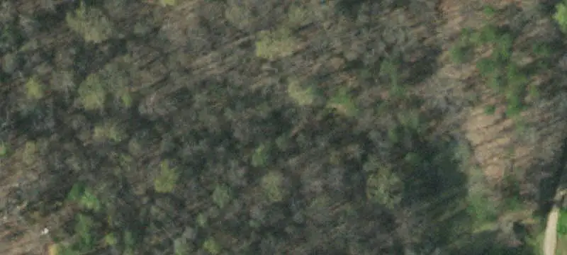 Unimproved Land