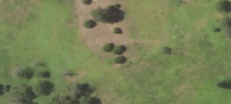 Farm