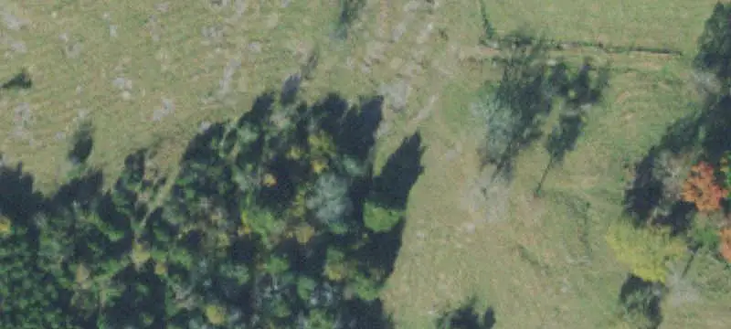 Agricultural Land with Pasture and Hardwood