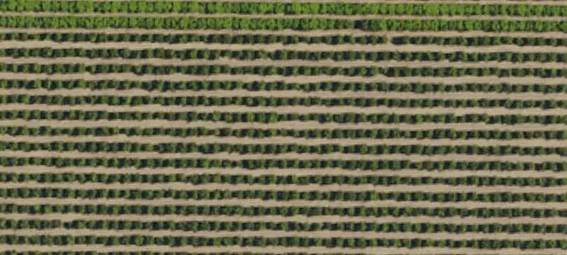 Commercial Corner Land