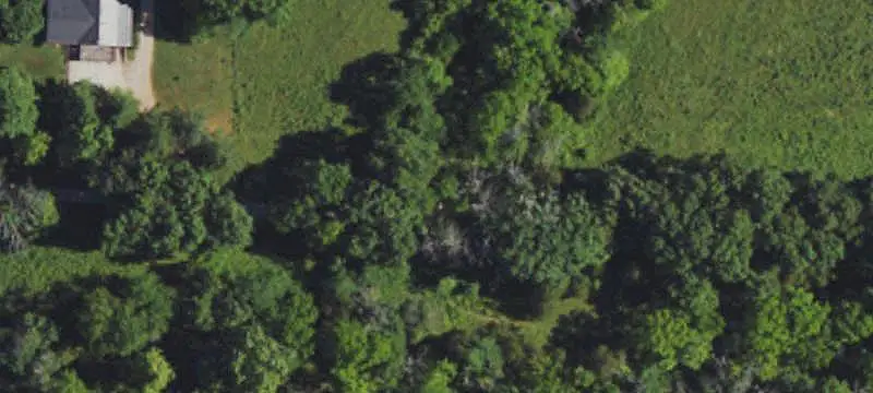Cleared Agricultural Land