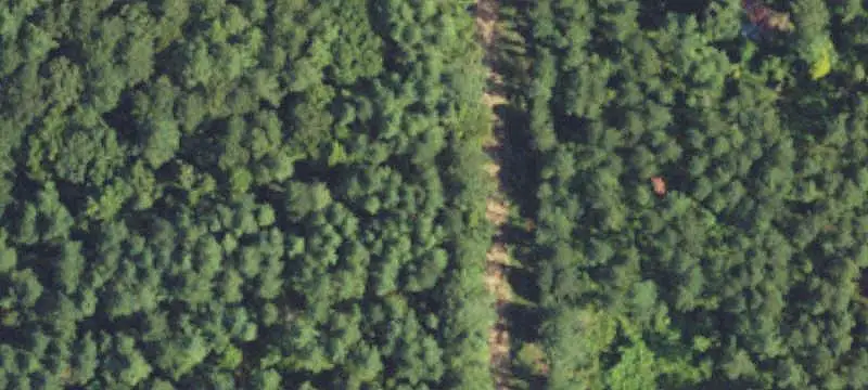 Hunting Land with Timber