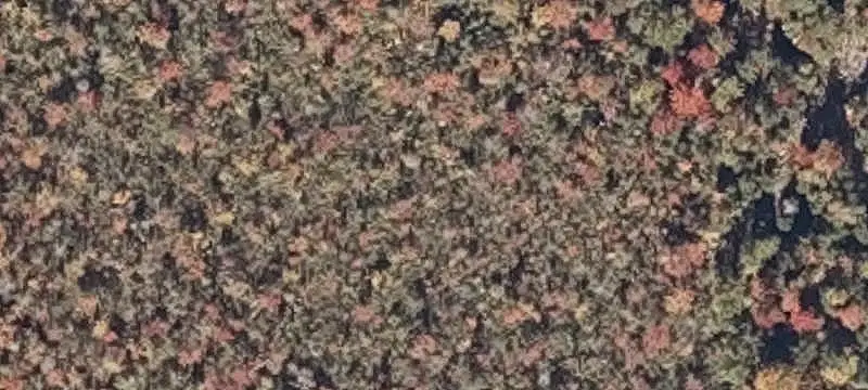 Long Lake Waterfront Land