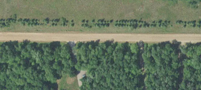 Wooded Land with Heated Shop