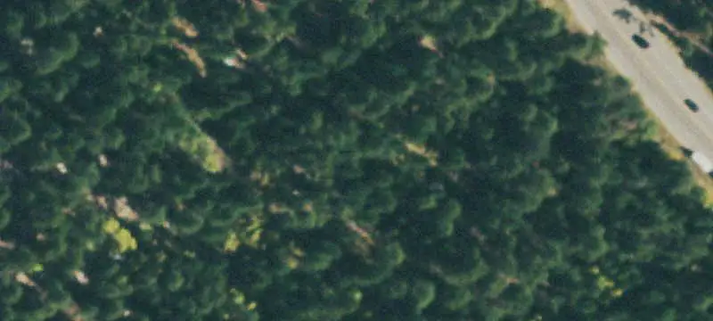 Land/Lot