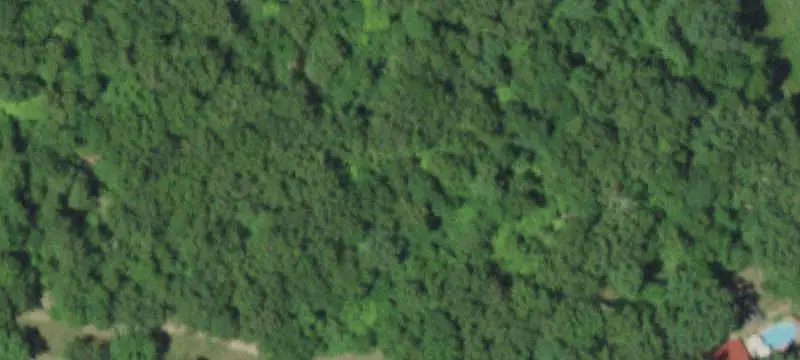 Pasture and Timber Agricultural Land