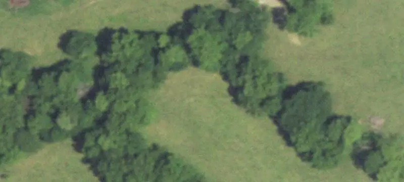 Golf Course with Restaurant