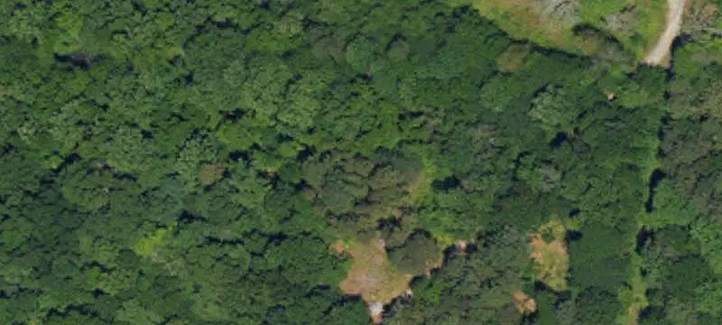 Commercial Land