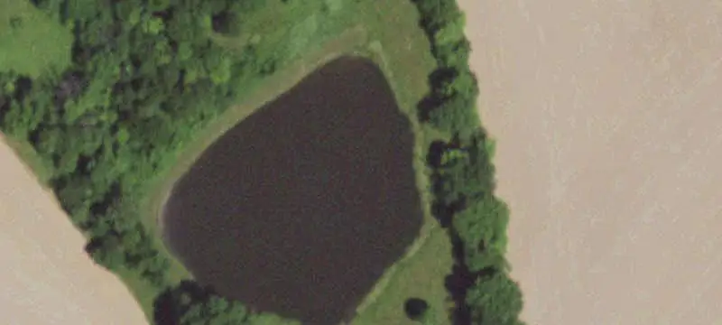 Farm with Country Home