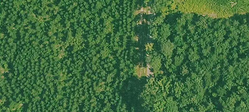 Vacant Land