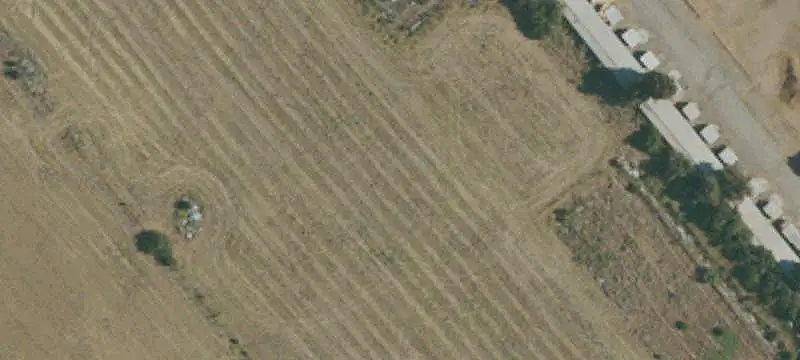 Farm Property with Greenhouses