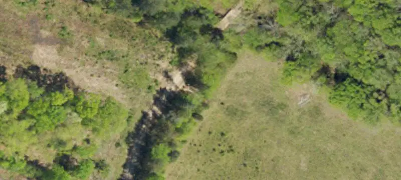 Hunting Land with Creek Frontage