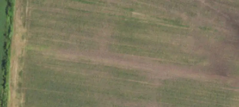 Flex Space with Fenced Yard