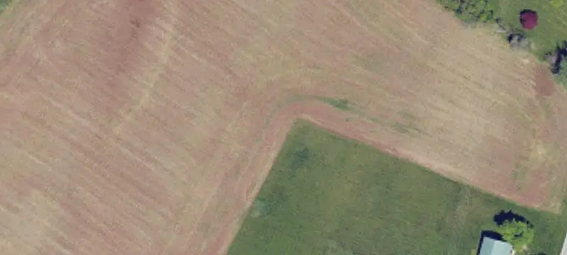 Agricultural Land with Wooded Acreage