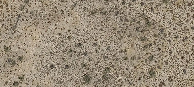 Land/Lot