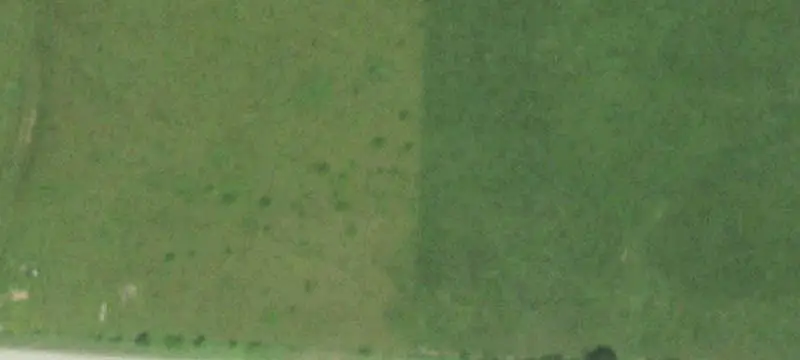 Hunting Land with Creek