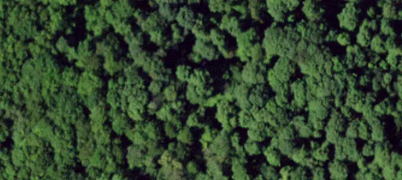 Recreation Land with Cabin