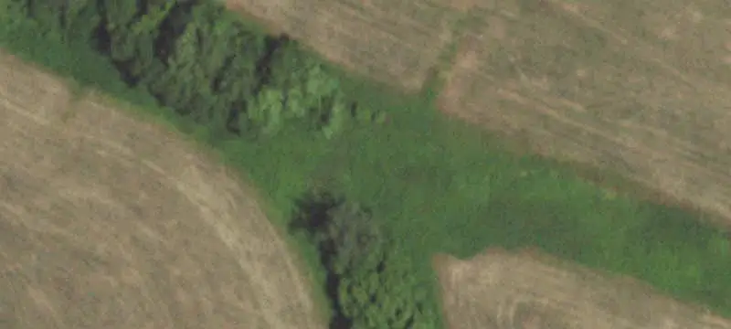 Farm with Country Residence