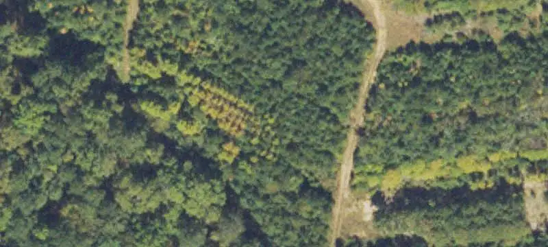 Agricultural Land with Ponds