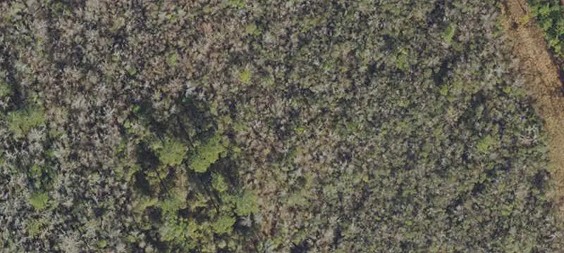 Commercial Land