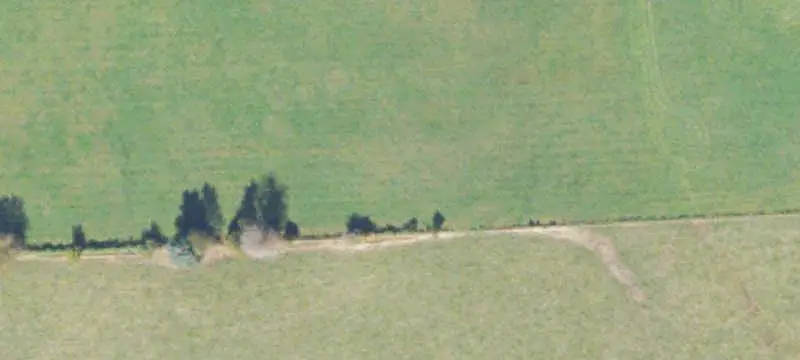Farm with Wooded Acreage