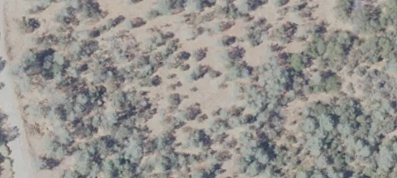 Vacant Land / Lots