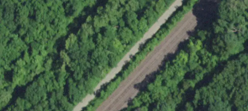 Farm