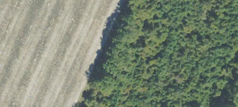 Commercial Lots & Land