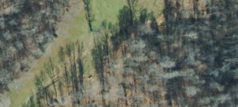 Farm