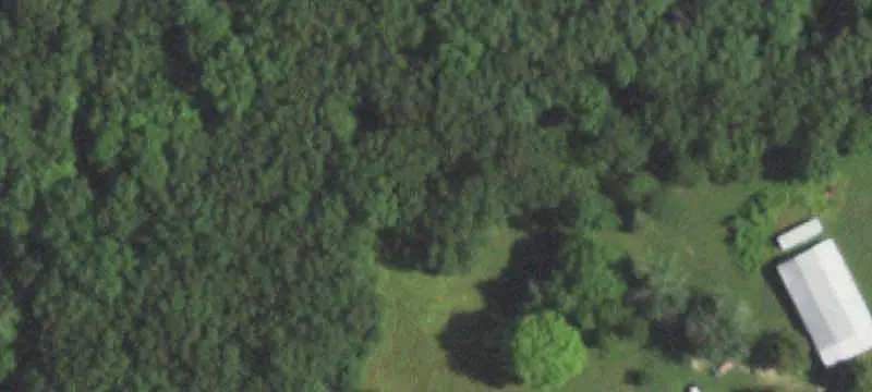 Cross-Fenced Farmland