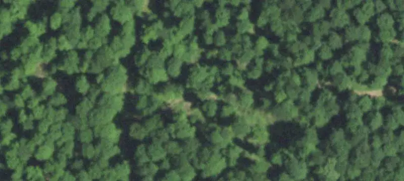 Golf Course with Driving Range