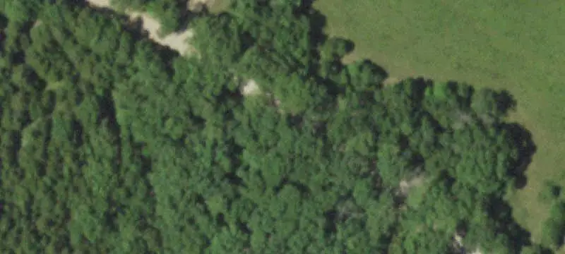 Fenced Farm with Residence