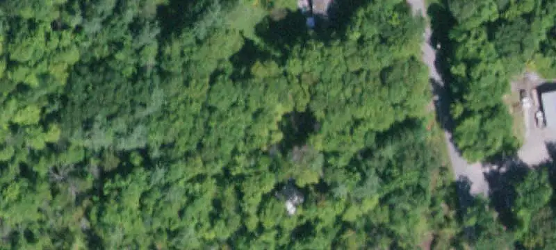 Wooded Hunting Land with Meadows