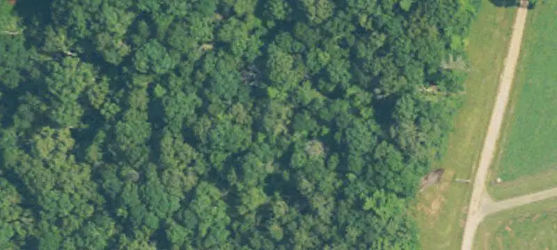 Recreational Land with Trail System