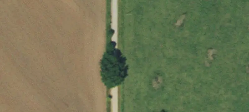 Pasture and Creek Land