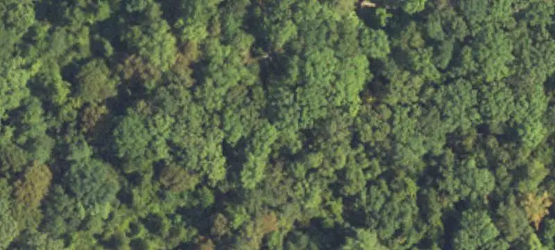 Commercial Land with Highway Frontage