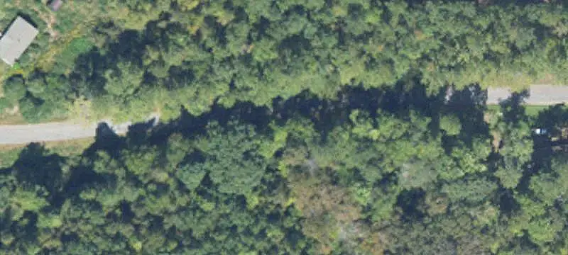 Hunting Land with Year-Round Creek