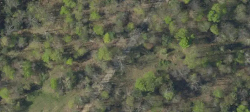 Unimproved Land