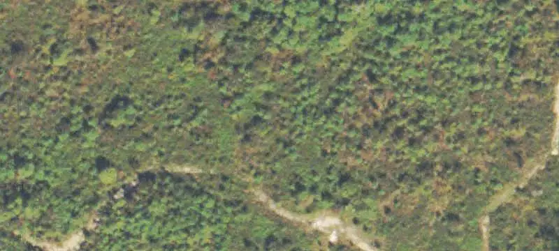 Commercial Land
