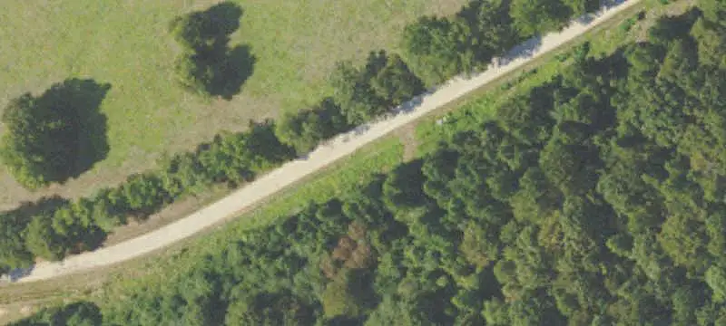 Wooded Hunting Land