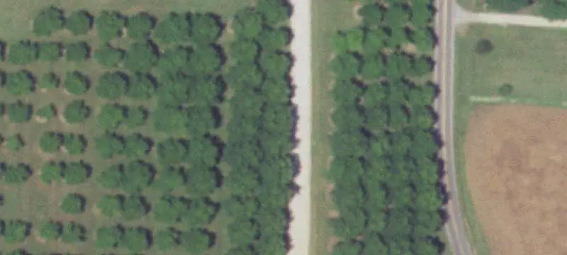 Pecan Farm with Private Airstrip