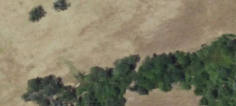 Ranch Land with Cabin
